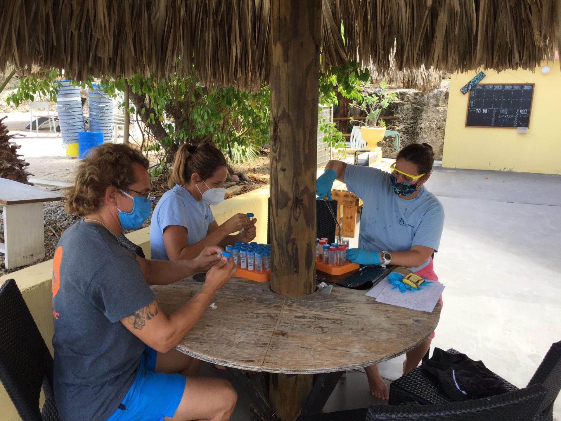 Pic1-2048x1536 RRFB team working on the coral sampling and fragments preparation
