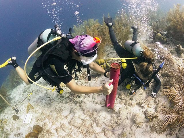 P2130034 RRFB and Beyond the Corals staff installs the duckbill anchors at Bachelor's Beach.