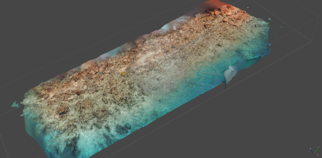 OL model - header Coral Reef Restoration Success