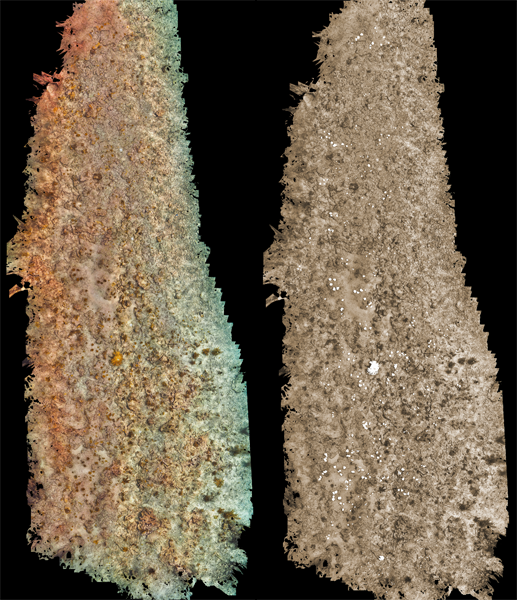 photomosaic