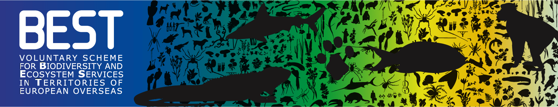 BEST banner
