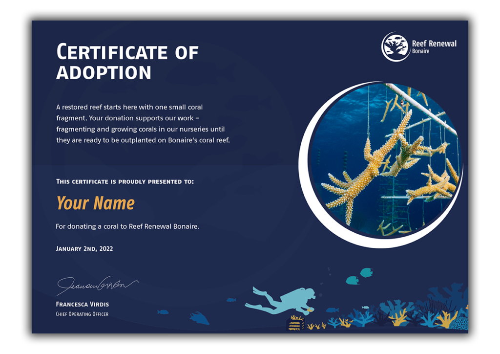 certi-for-website adopt a coral