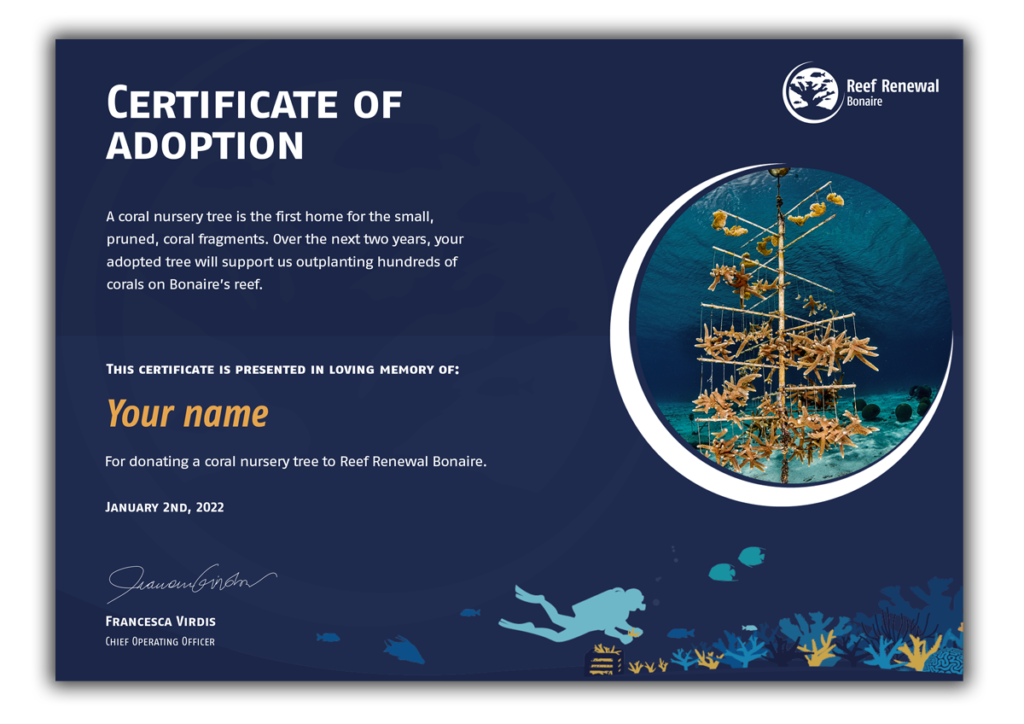 certificate-coral-template-visual-for-website adopt a coal nursery tree
