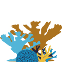 coralspecies coralspecies