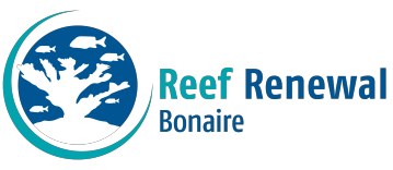 Reef Renewal Bonaire
